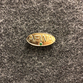 Chapter President Pin